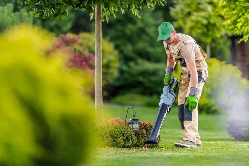 Lawn Care Maintenance image