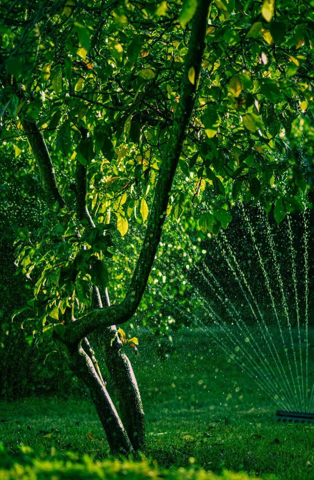 Blowing Out Sprinklers image