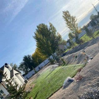 Lawn installation with new grass and trees in a sunny residential backyard setting.