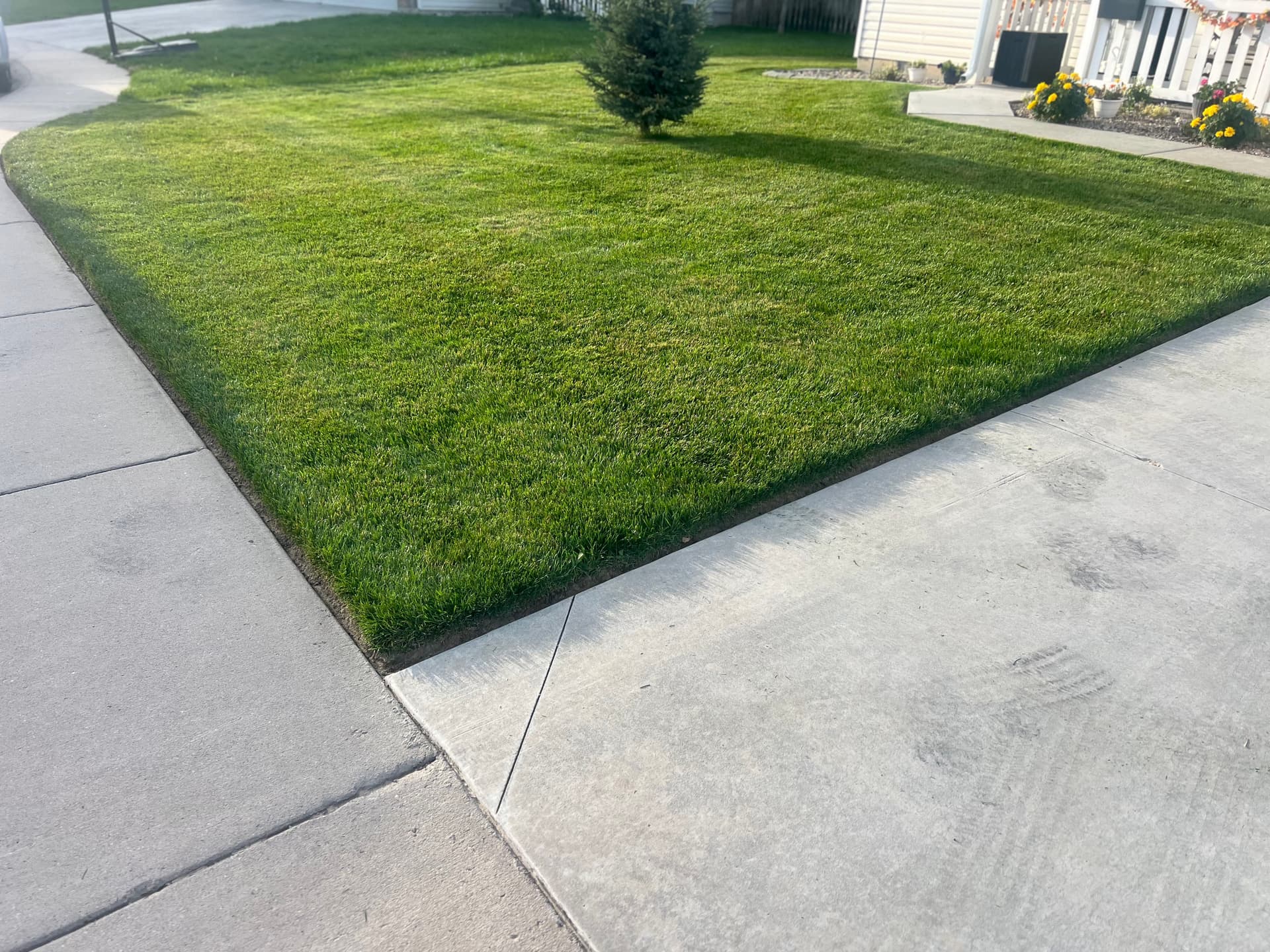 Gallery photos for Clean Stripes and Sharp Edges on Overgrown Lawns: Image #2
