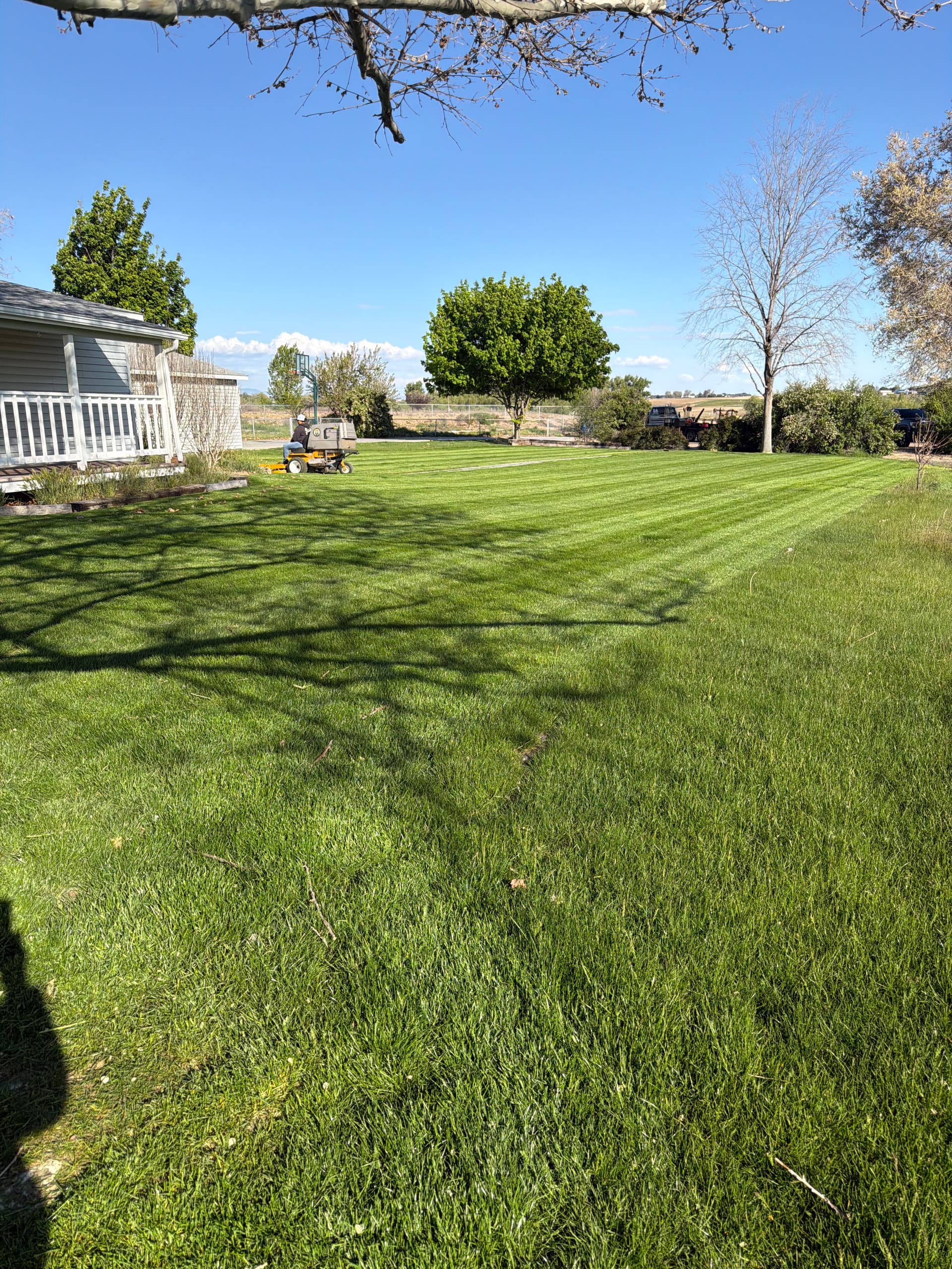 Clean Stripes and Sharp Edges on Overgrown Lawns image