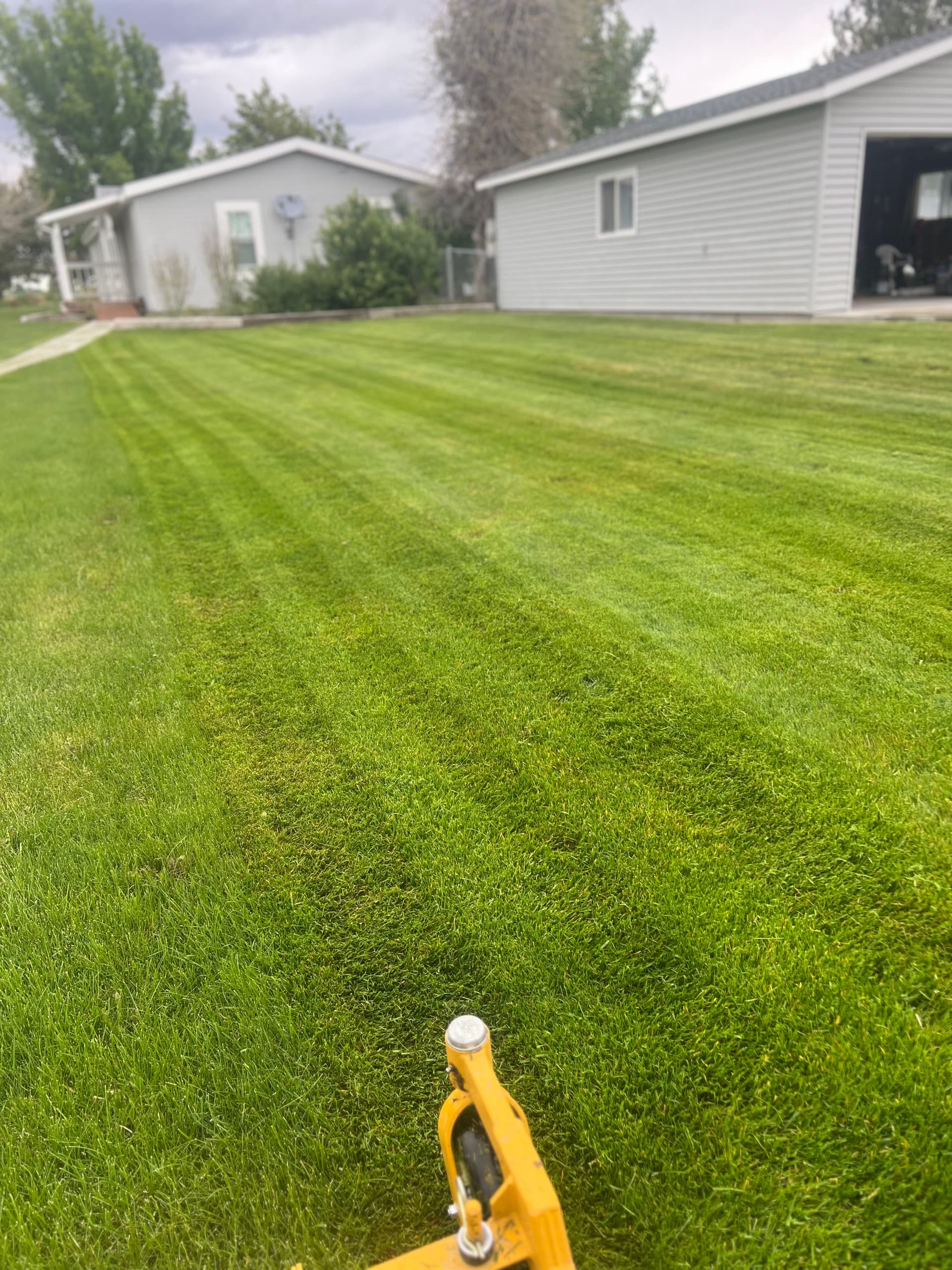 Gallery photos for Clean Stripes and Sharp Edges on Overgrown Lawns: Image #1